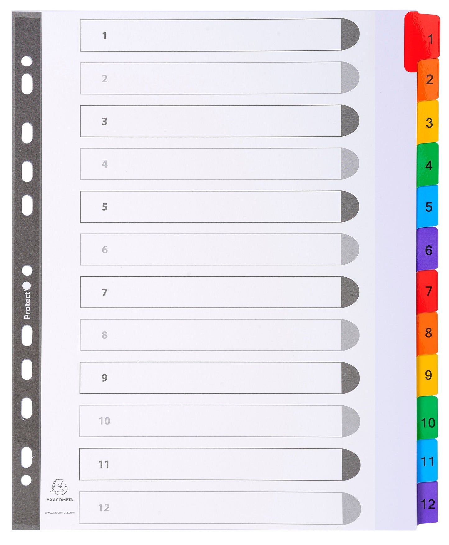 Exacompta Index 1-12 A4 Extra Wide 160gsm Card White with Coloured Plastic Tabs - 4112E - ONE CLICK SUPPLIES