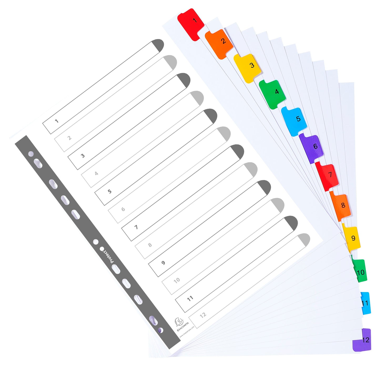 Exacompta Index 1-12 A4 Extra Wide 160gsm Card White with Coloured Plastic Tabs - 4112E - ONE CLICK SUPPLIES