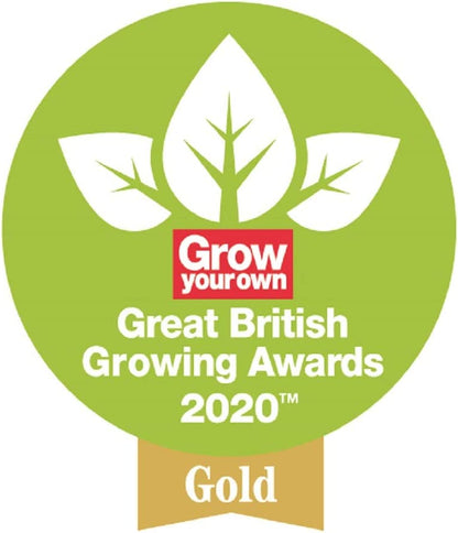 Spear & Jackson Kew Gardens Collection Leather Palm Gloves, Green. S/M/L - ONE CLICK SUPPLIES