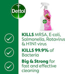 Dettol Power & Fresh Pomegranate Spray 1 Litre