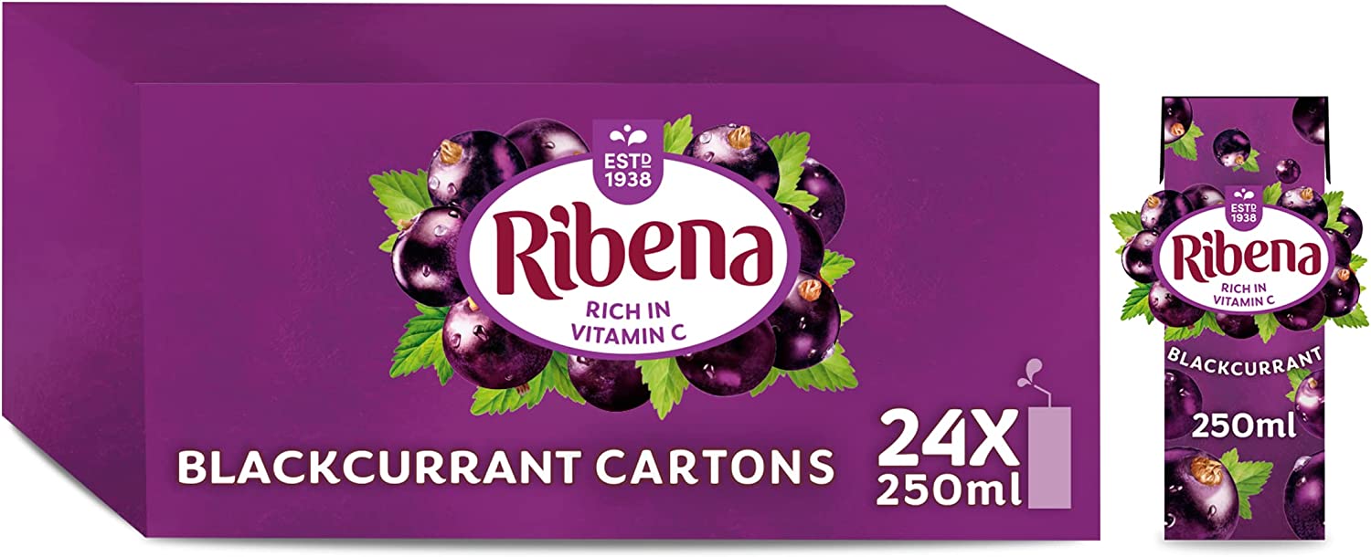 Ribena Blackcurrant Juice Kid Party Vitamin C Flavour Fruit Carton Pack 24x250ml - ONE CLICK SUPPLIES