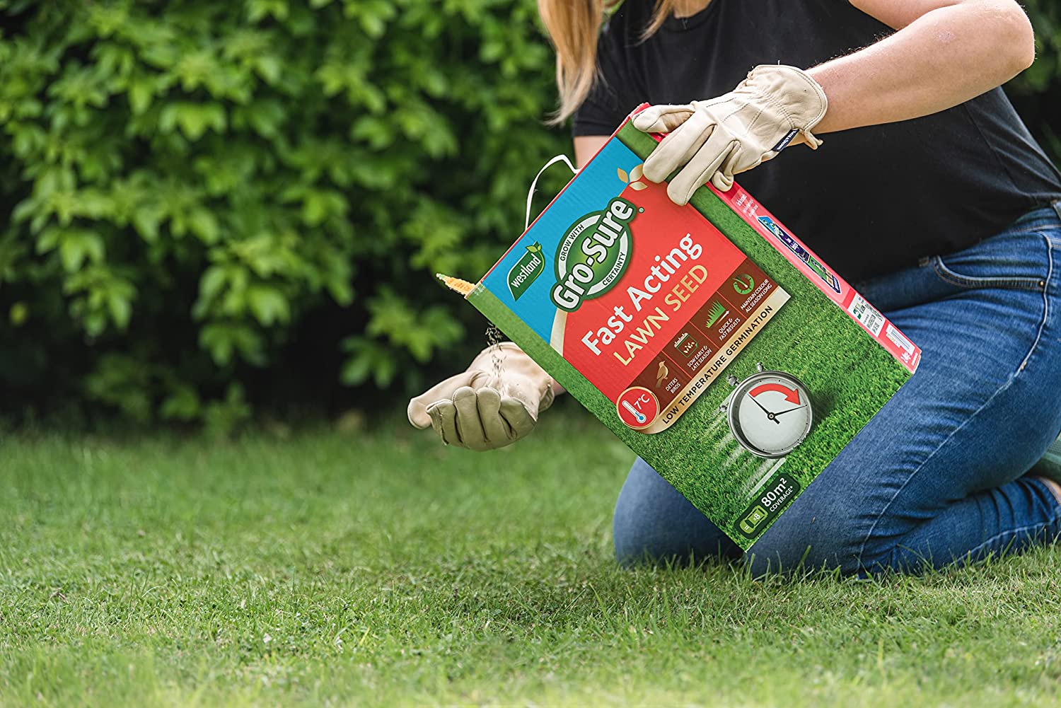 Westland Gro-Sure Fast Acting Grass Lawn Seed 80m2 2.4kg - ONE CLICK SUPPLIES