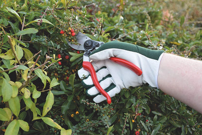 Spear & Jackson Kew Gardens Collection Leather Palm Gloves, Green. S/M/L - ONE CLICK SUPPLIES