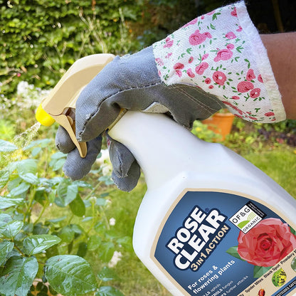 ROSECLEAR 3 in 1 Ready to Use Plant Protection, 800 ml