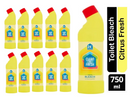 Clean And Fresh Thick Citrus Bleach 750ml - ONE CLICK SUPPLIES