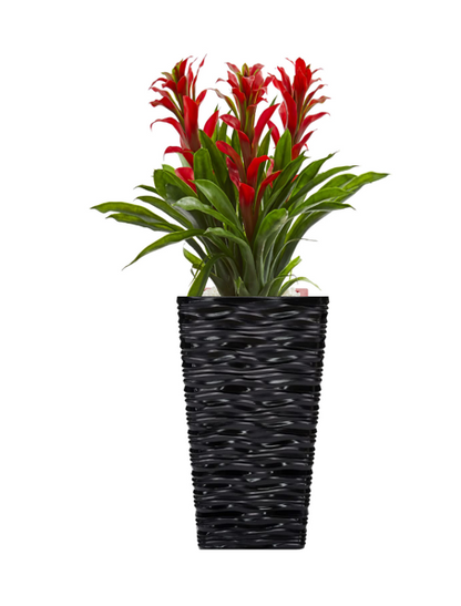 Fixtures Glaze Wave MEDIUM 42cm Planter {Black} - ONE CLICK SUPPLIES