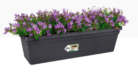 Elho Greens Basics Trough Large 60cm LIVING BLACK - ONE CLICK SUPPLIES