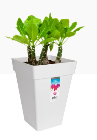 Elho Loft Urban Square High 37cm Planter WHITE - ONE CLICK SUPPLIES