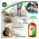 Dettol Antiseptic Disinfectant Liquid (750ml) - ONE CLICK SUPPLIES