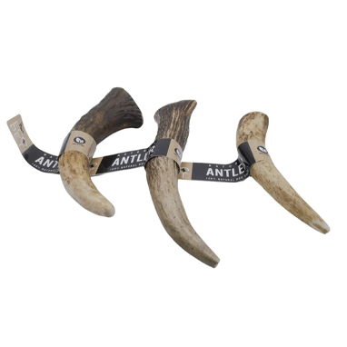 Eco Pet Large Antler Real Red Deer (Elk) Dog Chew - ONE CLICK SUPPLIES