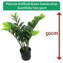 Fixtures Artificial Green Zamioculcas Zamiifolia Tree 50cm - ONE CLICK SUPPLIES