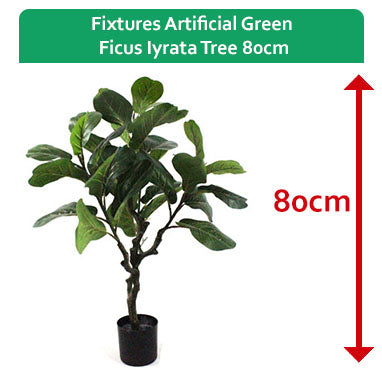 Fixtures Artificial Green Ficus Iyrata Tree 80cm - ONE CLICK SUPPLIES