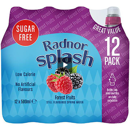 Radnor Splash Sugar Free Lemon & Lime 12x500ml - ONE CLICK SUPPLIES