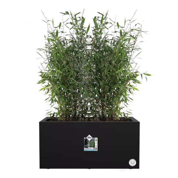 Elho Vivo Next Living Black Long Planter 60cm - ONE CLICK SUPPLIES