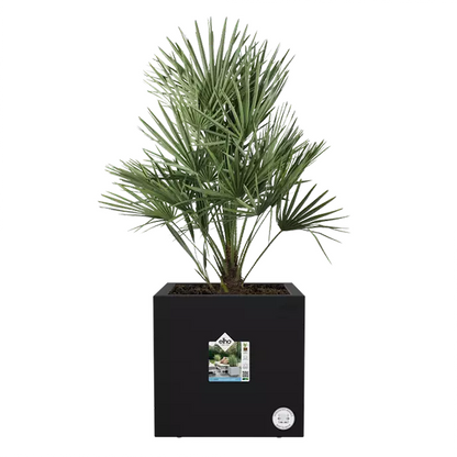 Elho Vivo Next Living Black Square Planter 30cm - ONE CLICK SUPPLIES