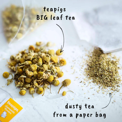 Teapigs Chamomile Whole Flower Temple Tea Bags 50's - 300's