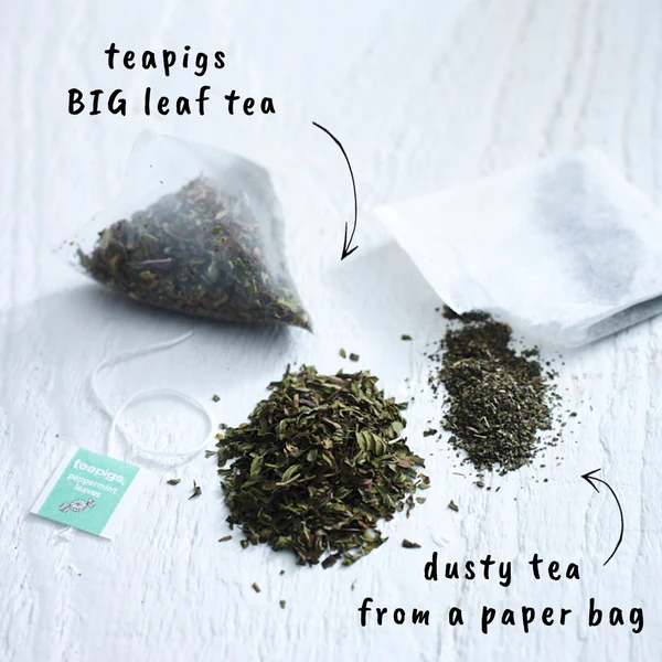 Teapigs Peppermint Whole Leaf Tea Temples Bags 50's - 300's