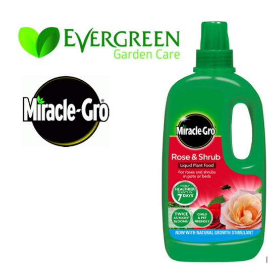 Miracle-Gro® Rose & Shrub 1 Litre - ONE CLICK SUPPLIES