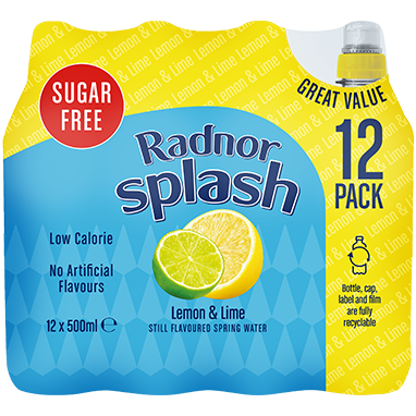 Radnor Splash Sugar Free Lemon & Lime 12x500ml - ONE CLICK SUPPLIES