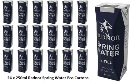 Radnor Hills Spring Still Water 24 x 250ml - ONE CLICK SUPPLIES